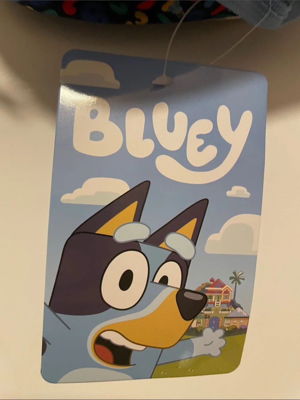Bluey siblings polyester